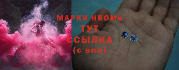 индика Армянск