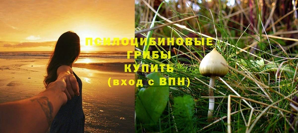 гидропоника Арсеньев