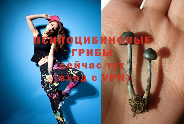 гидропоника Арсеньев