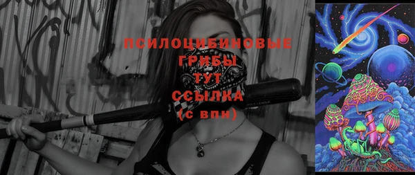 индика Армянск