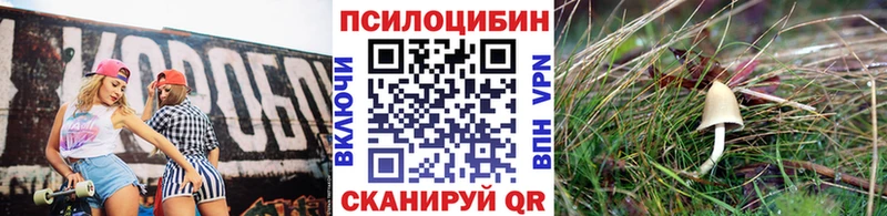Галлюциногенные грибы Psilocybe Заинск